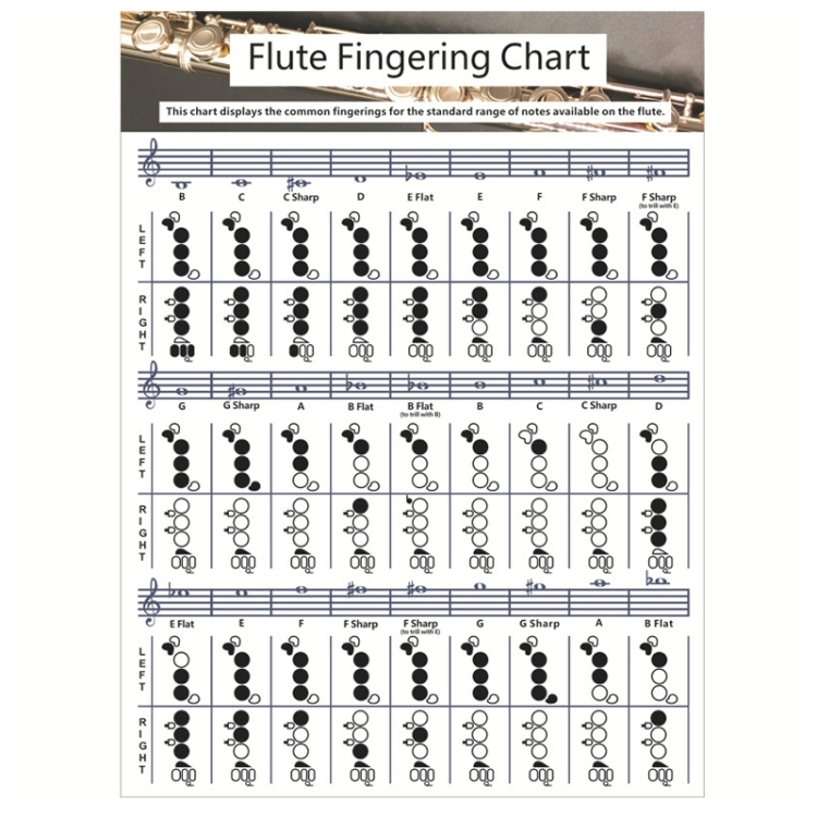 Coated Paper Flute Chord Fingering Practice Chart Staff Chord Fingering