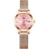 BINBOND B5907 Luminous Quartz Ladies Watch 30M Waterproof Calendar Steel Belt Watch