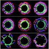 Bike Cycling Bicycle Tire Valve 32 Led Flash Spoke Wheel Light