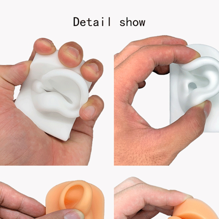 EDA003817001_B1.jpg