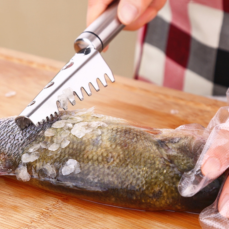 SSGP Stainless Steel Fish Scale Planing Knife Kitchen Essential, Length: 20.5cm