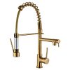 Copper Pull Type Large Spring Double Outlet Kitchen Sink Hot Cold Faucet