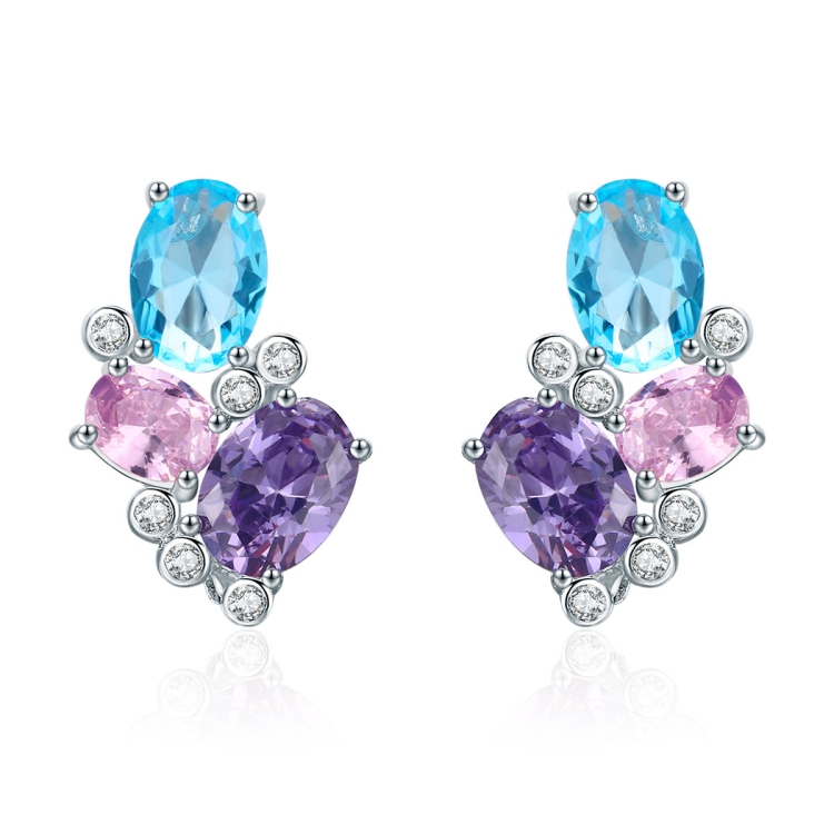 Sterling Silver Earrings Zircon Earrings Personality Ladies Earrings