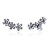 Flowers Zircon Earrings Sterling Silver Female Earrings Simple Earrings