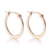 Personality Small Circle Earrings S925 Sterling Silver Female Zircon Earrings