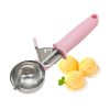 Stainless Steel Spring Ice Cream Scoop Fruit Scooper
