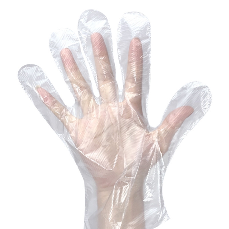 Disposable Gloves Transparent Food Catering Protective Glove