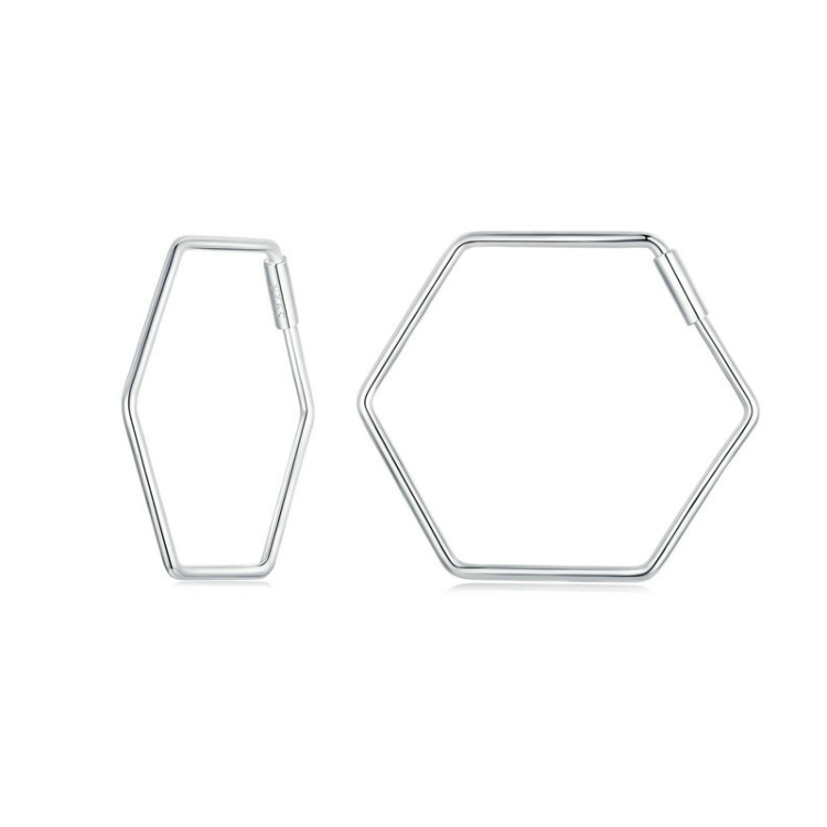 S925 Sterling Silver Zircon Hexagonal Earrings