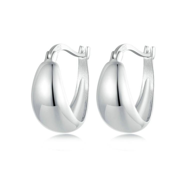 S925 Sterling Silver Metallic Earrings