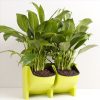 Plant Wall Vertical Indoor and Outdoor Balcony Wall-mounted Flower Pots Creative Combination of Resin Plastic Flower Pots with Removable Pot