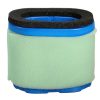 Air Filter Cleaner for Briggs & Stratton 498596 690610