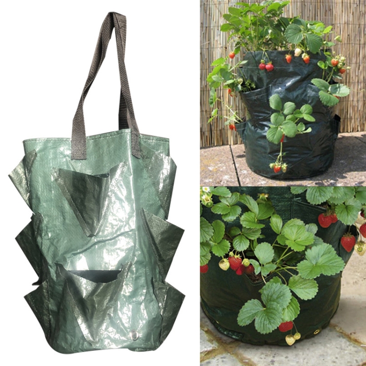 CMD-3 3 Gallon Hanging Strawberry PE Planting Bag Horticultural Flower Planting Bag