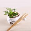 Bamboo Straight Tweezer Plants Cleaning Tool Moss Micro-landscape Making Tools Bamboo Product Plants Tweezers, Length: 18cm