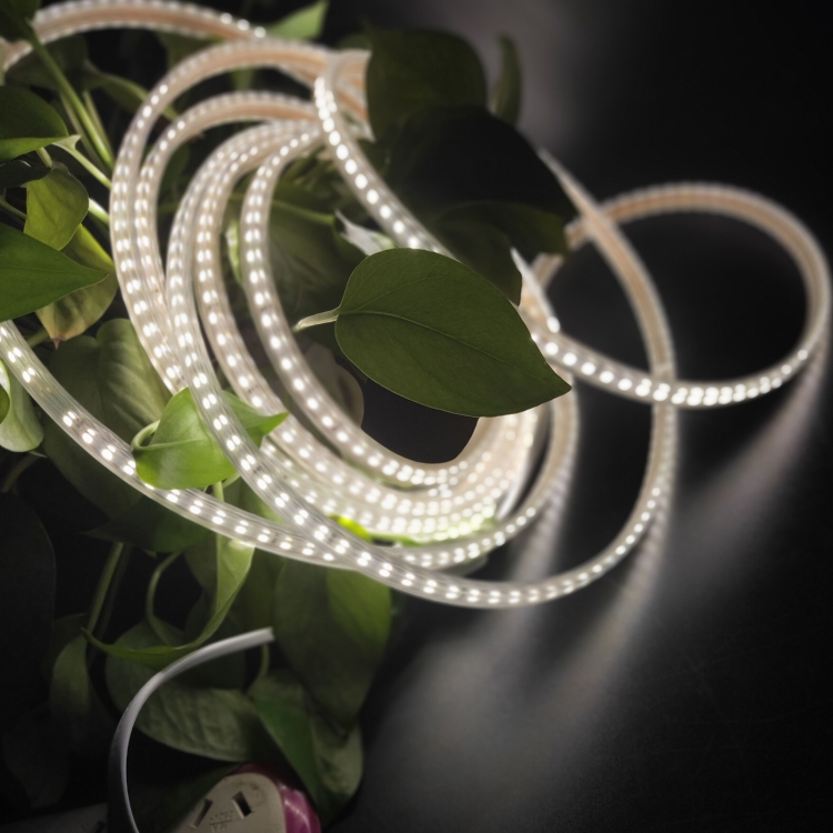 LED1268_B2.jpg