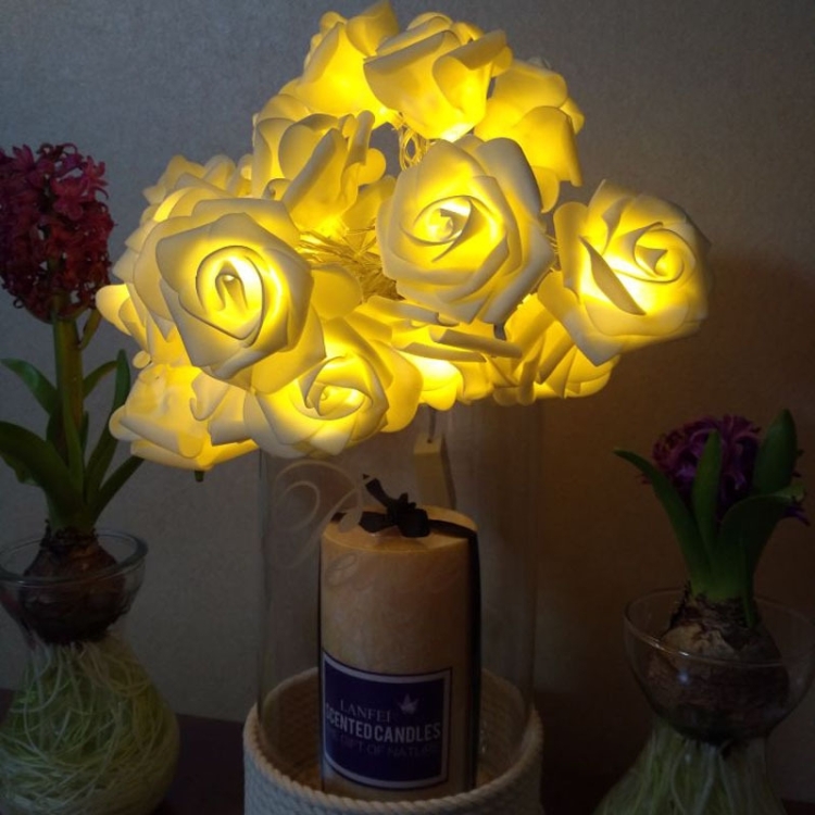 LED6529WW-1.jpg