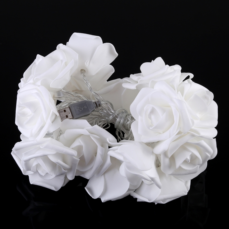 LED6529WW_2.jpg