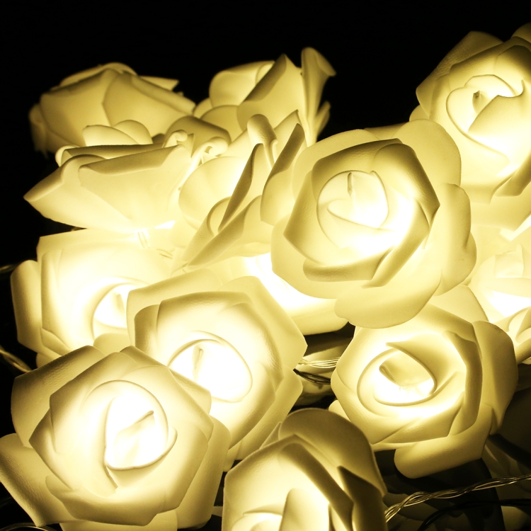 LED6529WW_3.jpg