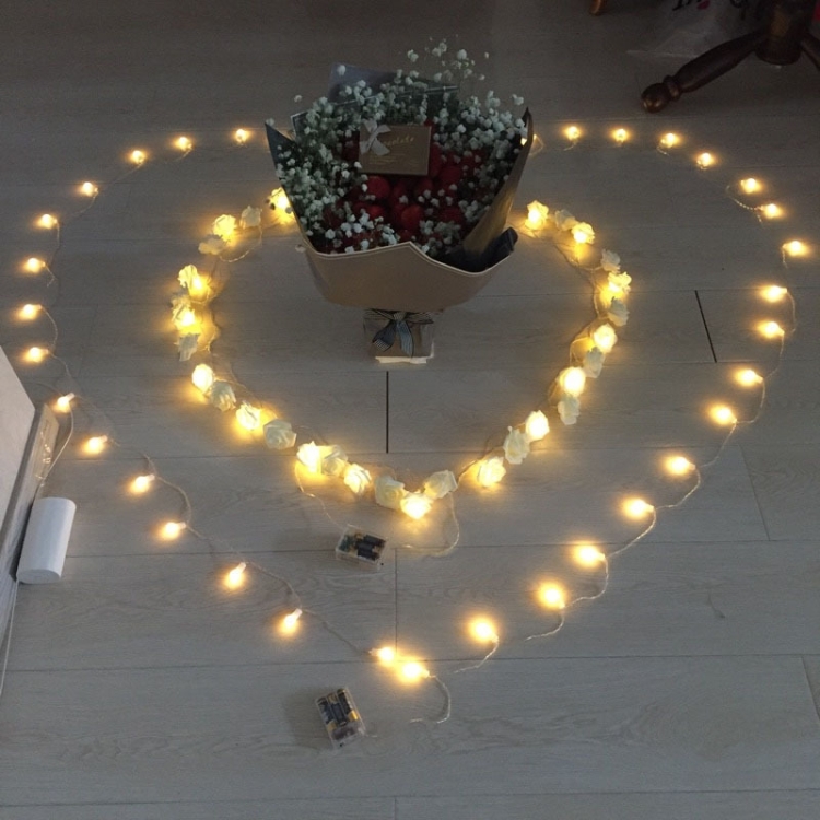 LED6529WW_6.jpg