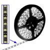 White Light 5050 SMD LED, 30 LED/m