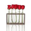 Creative Simple Coffee Shop Interior Desktop Decoration Decoration Transparent Hydroponic Glass Test Tube Vase