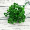 6 Branches Simulation Plant Guanyin Grass Imitation Plastic Flower Home Plant Decoration