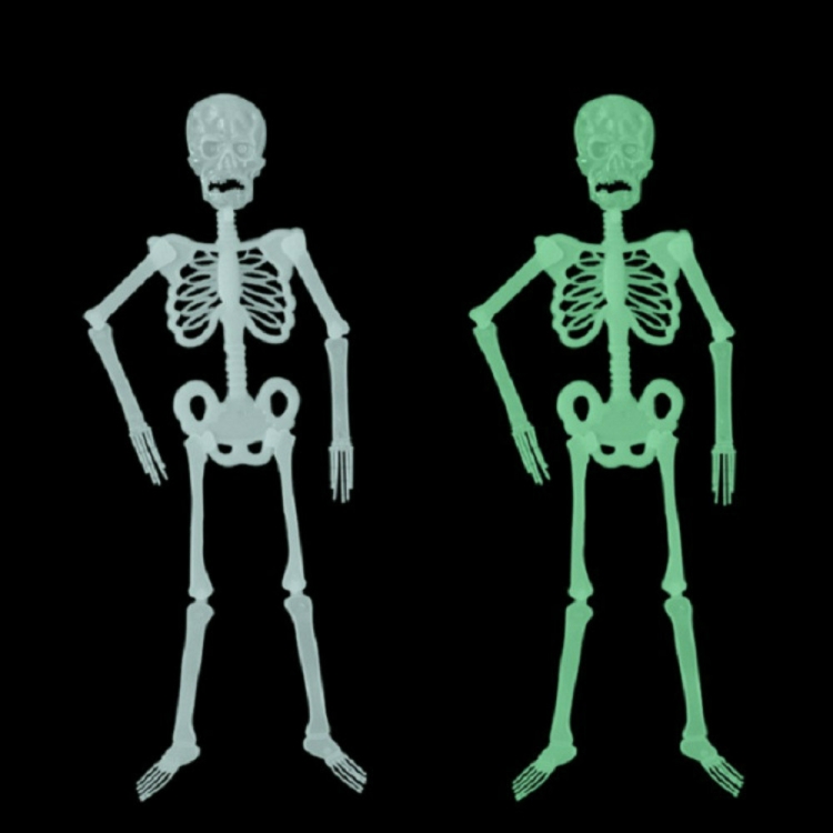 TBD0416341001_1.jpg