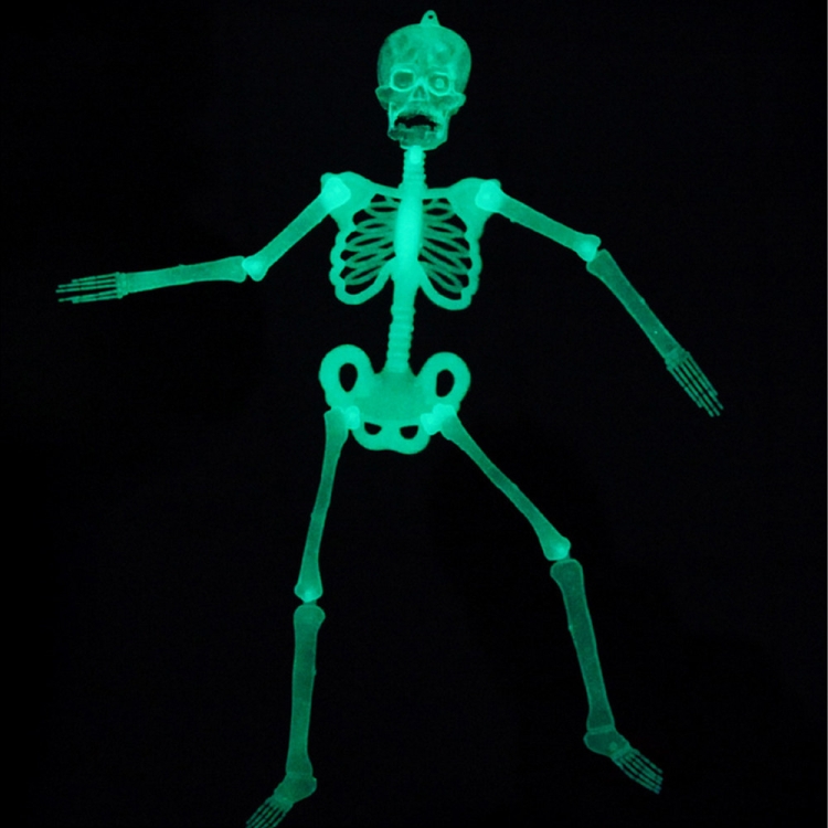 TBD0416341001_2.jpg