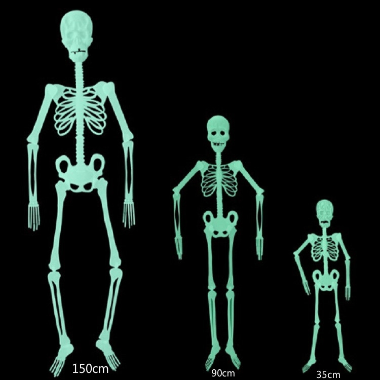 TBD0416341001_4.jpg