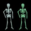 Luminous Skeleton Halloween Activity Props Bar Haunted House Decoration Supplies Fluorescent Skeleton