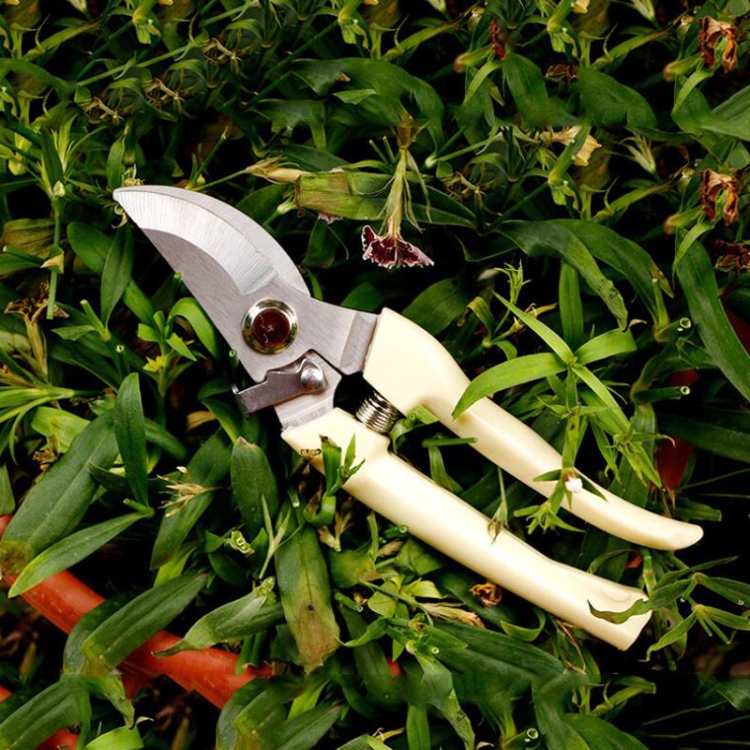 Garden Tools Stainless Steel Pruning Shears Fruit Tree Scissors Garden Branch Shears