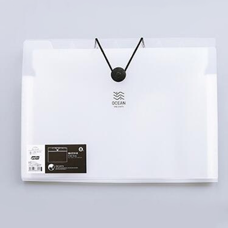 Multi-layer Buckle Matte Transparent Folder Information Booklet