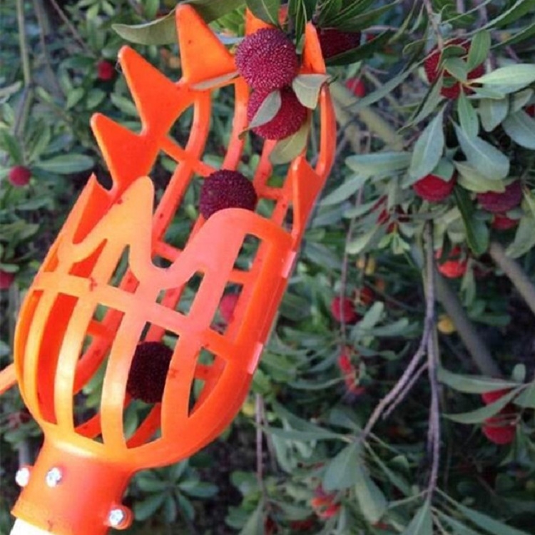 Plum Date Apricot Pick Fruit Plastic Tool