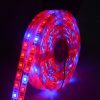 5m 300 LEDs SMD 5050 Full Spectrum LED Strip Light Fitolampy Grow Lights for Greenhouse Hydroponic Plant