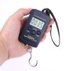 10g Mini Digital Fishing Scale Travel Weighting Steelyard Hanging Electronic Hook Scale Kitchen Weight Tool, Capacity:40kg