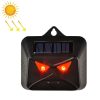 209A Solar High Frequency Flash Nocturnal Animal Repeller