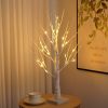 SJ-SD001 LED Christmas Party Decoration Birch Tree Decorative Light, Style: