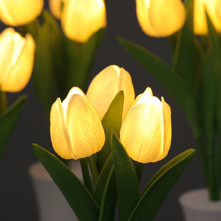 TBD06042449_B3.jpg