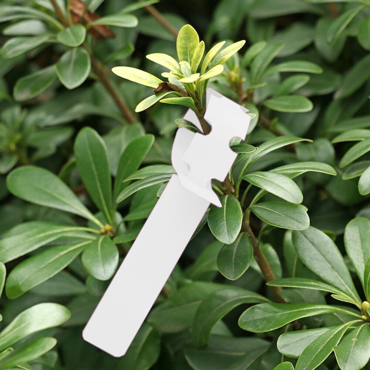 100 PCS Gardening Plant Sapling Seed Hanging Tree Label