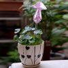 Mushroom Shape House Plants Flowers Water Feeder Automatic Self Watering Clear Glass Devices