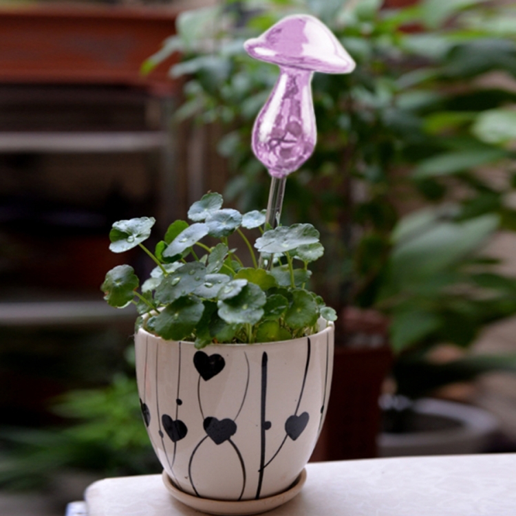 Mushroom Shape House Plants Flowers Water Feeder Automatic Self Watering Clear Glass Devices