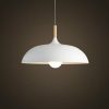 40W 35cm Minimalist Creative Personality Semi-circular Lid Chandelier Wrought Iron Single-head Restaurant Living Room Hotel Lamps