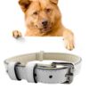 Leather Pet Dog Collar Pet Products Big Dog Collar, Size: XL, 3 * 60cm