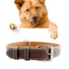 Leather Pet Dog Collar Pet Products Big Dog Collar, Size: M, 2 * 42cm