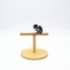 Creative Wooden Parrot Bird Frosted Stand Toy