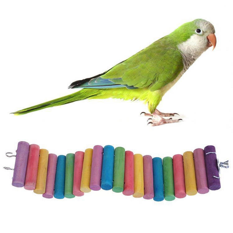 Parrot Bird Hamster Color Round Wood Small Plank Road Ladder Toy