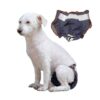 Anti-sorrow Female Dog Physiological Pants Urine-proof And Wet Pet Leak-proof Underwear