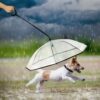 Pet Umbrella Transparent Adjustable Rainy Dog ?Walking Leash