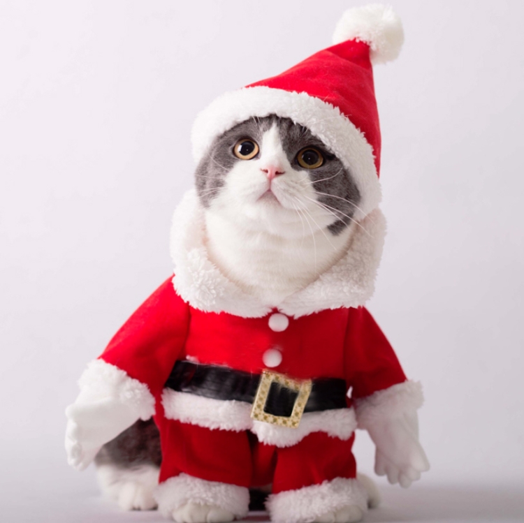 Pet Three-Dimensional Christmas Suit