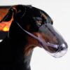 Pets Bathing Injection Anti-Bite Transparent Muzzle