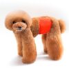Solid Color Physiology Pants For Pet Male Dogs Polite And Anti-Harassment Puppy Safety Pants